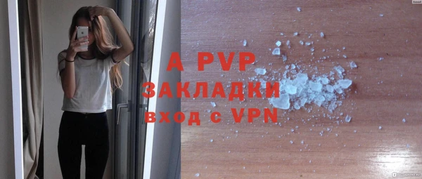 стаф Баксан