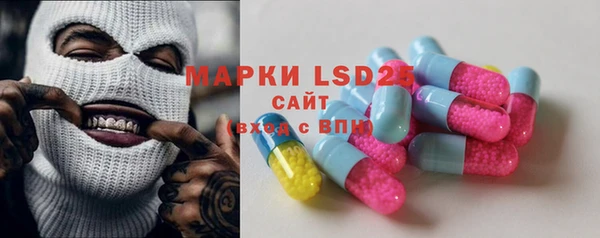стаф Баксан