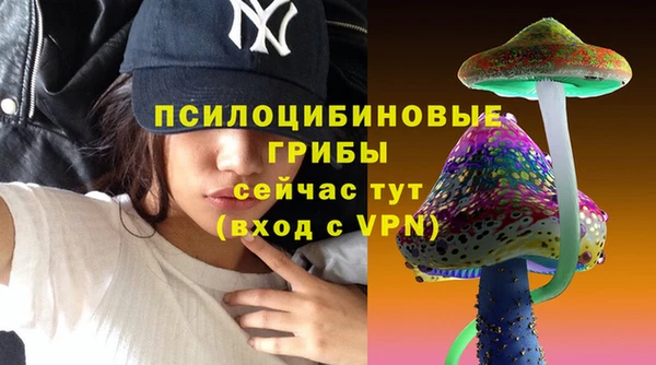 стаф Баксан