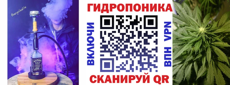 KRAKEN как войти  Рассказово  Шишки марихуана THC 21%  магазин   